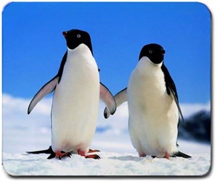Penguin Pair Holding Hands Mouse Pad