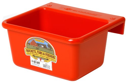 Little Giant6 Quart Red Mini Feeder MF6-RED