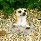 Curious Meerkat Ornament