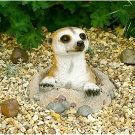Curious Meerkat Ornament