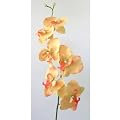 Kunstblume Orchideenzweig 78cm. Farbe PFIRSICH