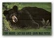 Lazy Bear Ranch by Penny Wagner 36"x21" Art Print Poster