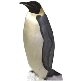 Penguin - Wildlife/Animal Lifesize Cardboard Cutout / Standee / Standup