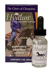 Durvet Hyalogic Hyalun 1oz - 30ml Liquid