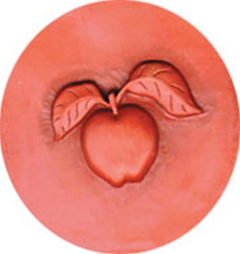 Rycraft Keep it Soft Brown Sugar Saver-Apple