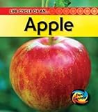 Life cycle of an ... apple
