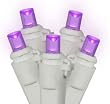 Set of 100 Purple LED Wide Angle Christmas Lights - White Wire