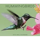 Hummingbirds 2012 Wall Calendar
