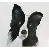 Border Collie #2 Note Cards - 5 Pack