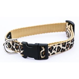 Medium Natural Leopard Dog Collar: 3/4