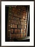 Bookshelf in Long Room of Historic Trinity College, Dublin, Ireland Collections Framed Photographic Poster Print by Martin Moos, 21x29