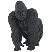 Gorilla （ゴリラ）