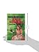 Alice in Wonderland (Great Illustrated Classics)
