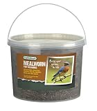 Meal Worms Tub, 28 oz