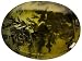 Jewelry : 16X12MM OVAL BUFF CUT DENDRITIC QUARTZ FROM BRAZIL