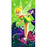 Tinkerbell Party Backdrop Banner