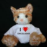 Plush Stuffed Cat (Kit Kat) toy with I Love Enceladus t-shirt