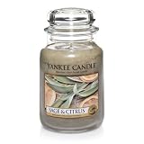 Yankee candle sage&citrus 22oz (609032066796)