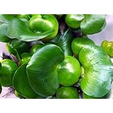 ���i�̏ڍ�