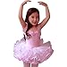 Little Girls' Gymnastic Ballet Leotard Dance Dress Tutu Skirt Party Costume 2-6T