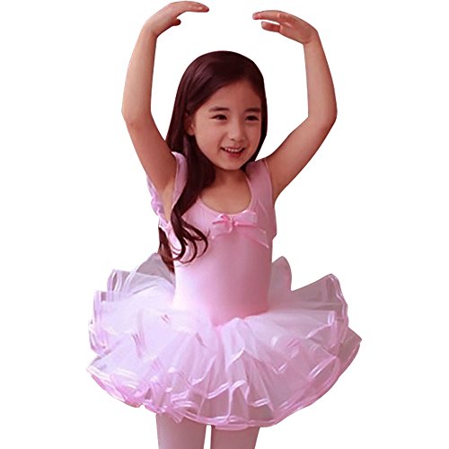 Little Girls' Gymnastic Ballet Leotard Dance Dress Tutu Skirt Party Costume 2-6T