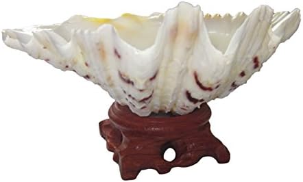 Hippopus Tridacna Shell (4") &amp; Wooden Base (2") for White Sage Herbs or Palo Santo Holy Wood Incense Sticks