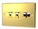Kitchen & Housewares : POLISHED BRASS 3 GANG 2 WAY 500 WATT DIMMER SWITCH C357PBW