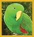 Male Eclectus Parrot Bookmark Image