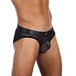 Appolo Brief Men's Stretch Mesh Bikini Underwear By Gregg Homme