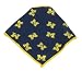 University of Michigan NCAA Logo Dog Bandana Size M/L
