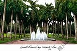 University of Miami Lithograph