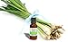 Bee Premium 100% Organic Lemongrass Oil