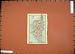 1895 Colour Map France Island Corse Corsica Bastia