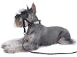 Halti Training Headcollar - Size 3