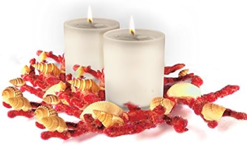 Fortune Share Double Decorative Candle Set with Real Seashell Candle Ring Great for Displaying &amp; Decorating