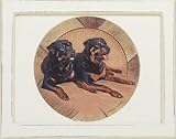 Rottweiler Ambiance Keepsake Box