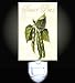 Sweet Peas Decorative Night Light