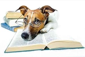 Hund Studiert - Peel and Stick Wall Decal by Wallmonkeys