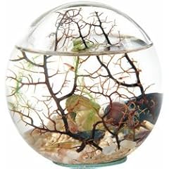 Beachworld - Kugel mit Gorgonie (12,5 cm)