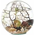 Beachworld - Kugel mit Gorgonie (12,5 cm)