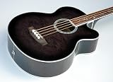 NEW MICHAEL KELLY DRAGONFLY 4 STRING FRETLESS ACOUSTIC BASS GUITAR wEQ + FISHMAN