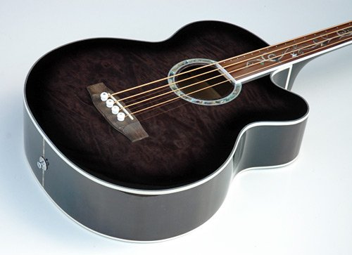 MICHAEL KELLY DRAGONFLY FRETLESS SMOKE ACOUSTIC ELECTRIC BASS GUITAR