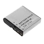Brand New Replacement Battery for Casio Exilim EX-FC100 / EX-FC100BK / EX-FC100WE