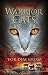 Vor dem Sturm (Warriors, #4)
