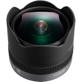 Panasonic Micro Four Thirds 8mm Wideangle Lens (35mm Equivalent: 16mm)