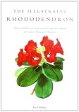 The illustrated rhododendron : their classification portrayed through the artwork of Curtis's Botanical Magazine