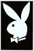 Playboy Bunny - College Poster - 22 x 34