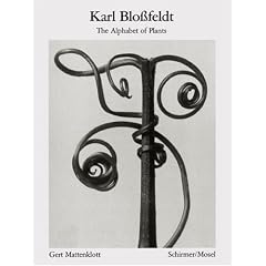 Karl Blossfeldt: The Alphabet of Plants
