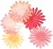 Heidi Swapp Large Florals Variety Pack