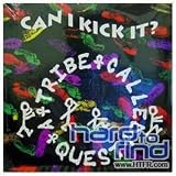 Can I Kick It? [Vinyl]